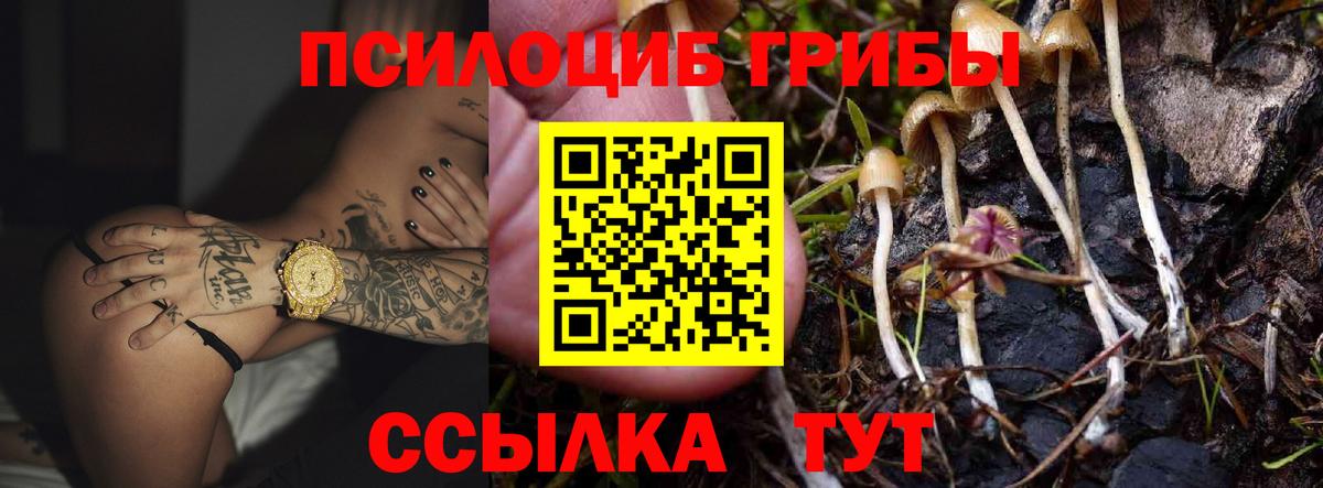Галлюциногенные грибы Cubensis  Псилоцибиновые грибы Psilocybine cubensis  Кандалакша  Вход с VPN 